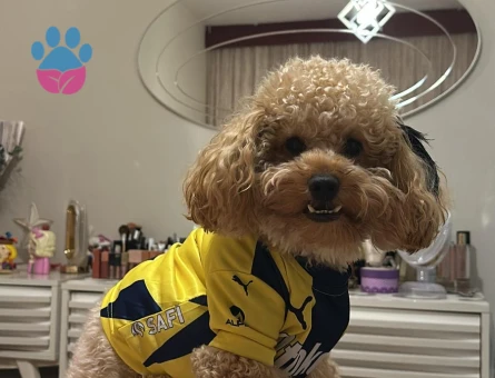 Oğlumuza arkadaş arıyoruz