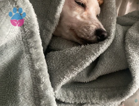 Hanımefendi arıyoruz