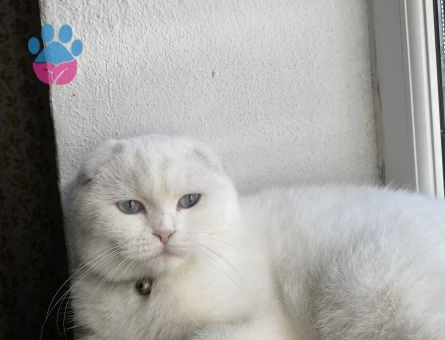 Çocukunuza eş arıyoruz 🥹💞