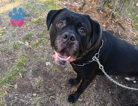 Oglum pascala es ariyorum