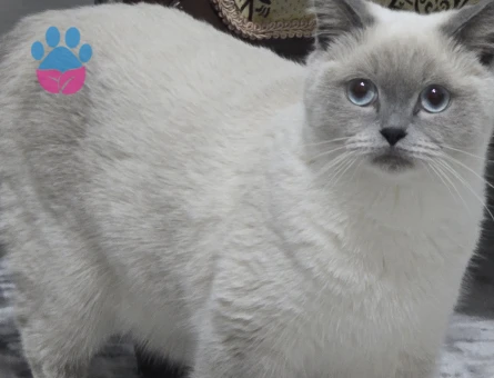 1 YAŞINDA OLAN KIZIMA EŞ ARIYORUZ