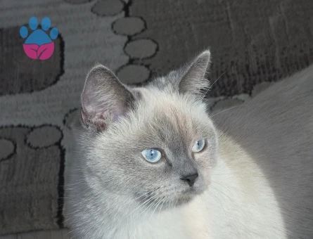 1 YAŞINDA OLAN KIZIMA EŞ ARIYORUZ