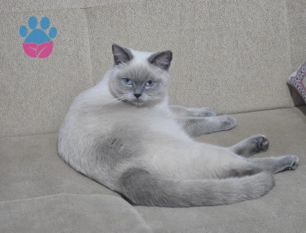 1 YAŞINDA OLAN KIZIMA EŞ ARIYORUZ