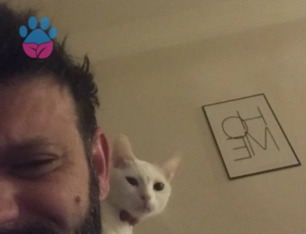 Tecrübeli kızımıza damat adayı arıyoruz.