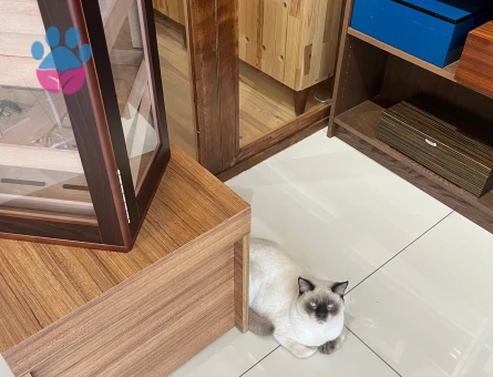 OĞLUMUZ İÇİN EŞ ARIYORUZ