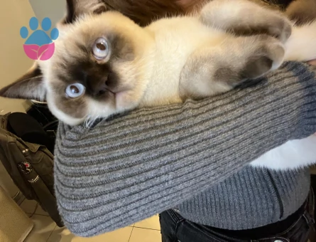 OĞLUMUZ İÇİN EŞ ARIYORUZ