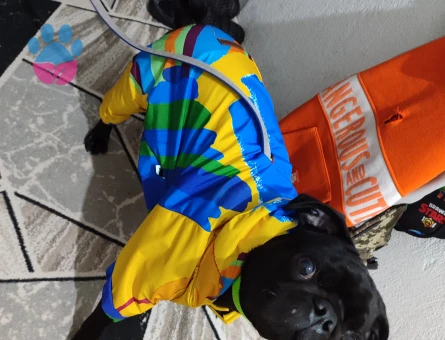 Oğlumuza Gelin Arıyoruz