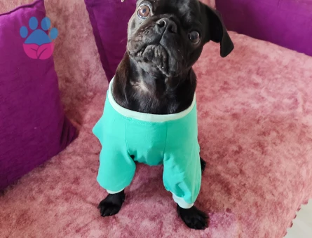 Oğlumuza Gelin Arıyoruz