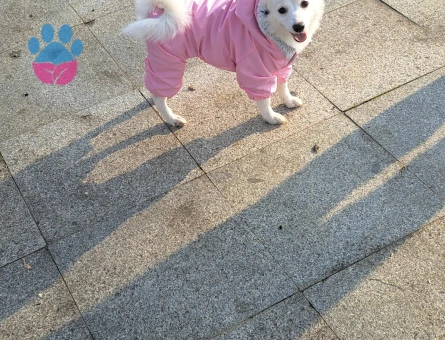 Kızımıza eş arıyoruz