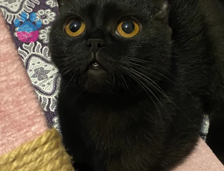 Zeytinime eş arıyorum❤️