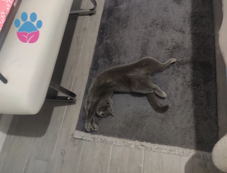 Kızıma Eş arıyorum