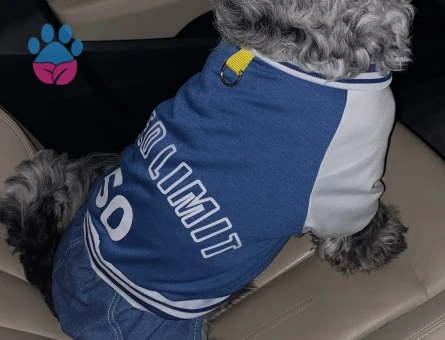 Date’e çıkaracağım güzel hanımköpüşleri arıyorum.