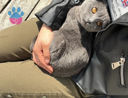 Kızıma eş arıyorum