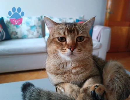 Oğlumuza eş arıyoruz