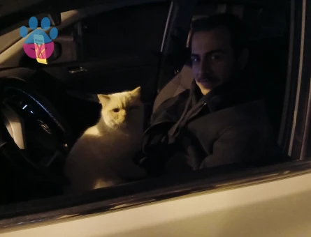 OĞLUMA EŞ ARIYORUM