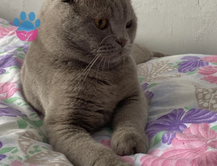 Oğluşuma eş arıyorum