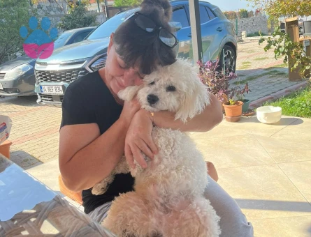 Çapkın oğlumuza eş arıyoruz