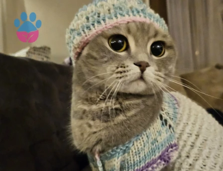 13 aylık pamuğumuza erkek eş arıyoruz