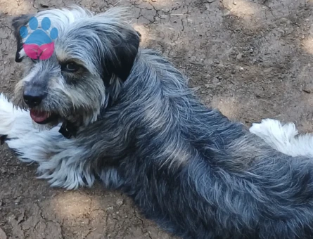 kızımıza eş arıyoruz