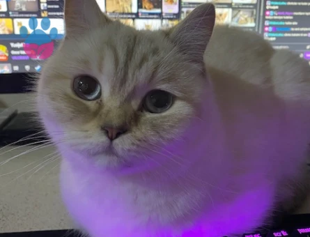 3 yaşındaki kızıma eş arıyorum, ilk defa anne olacak