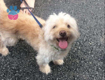 Oğlumuzun devamını istiyoruz