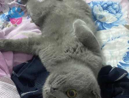 Oğluma eş arıyorum herşey bana ait