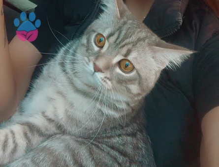 Torun sahibi olmak istiyorum😊