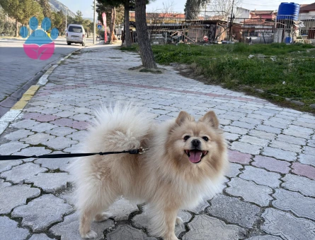 Oğluma eş arıyorum