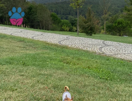 Kızıma eş arıyorum