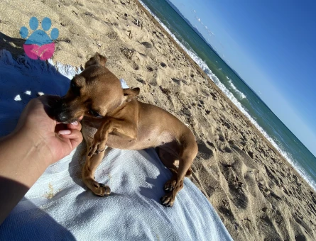 Kızıma eş arıyorum