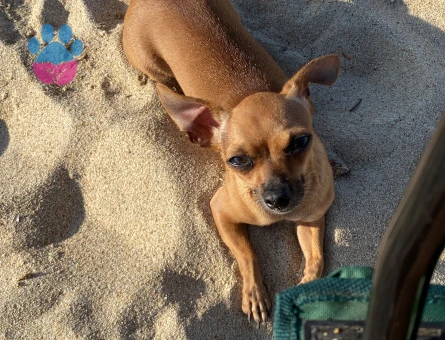 Kızıma eş arıyorum