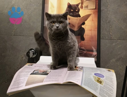 1 yaşında çok uysal