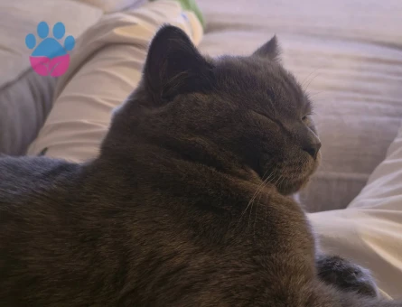 1 yaşında çok uysal