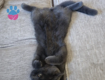 1 yaşında çok uysal