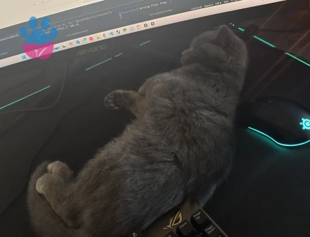 1 yaşında çok uysal