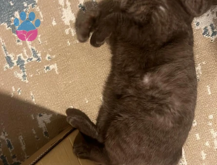 patlamaya yakın bomba