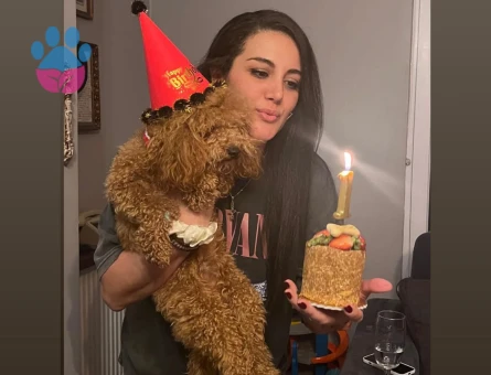 Mocha ya eş arıyoruz