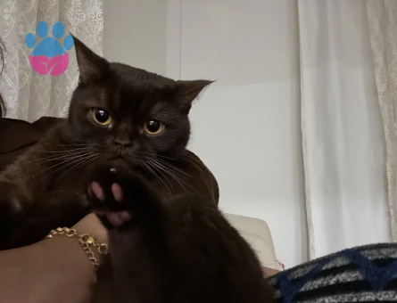 Kendime eş arıyorum