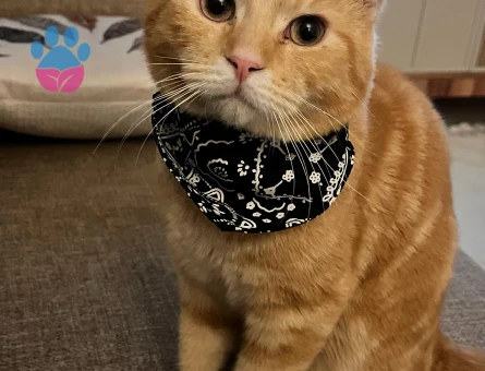 Oğlumuz Efe’ye eş arıyoruz