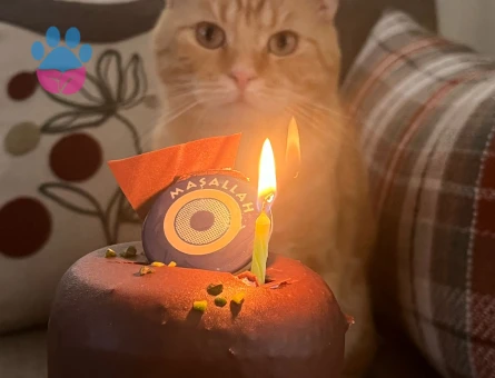 Oğlumuz Efe’ye eş arıyoruz