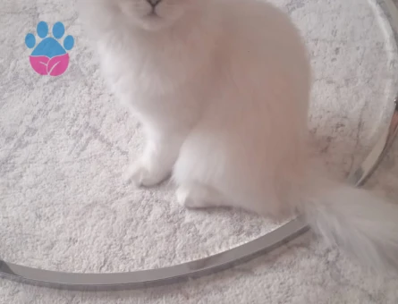 Kar Topumuza Uygun Eş Arıyoruz