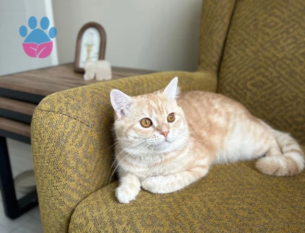 OĞLUMA EŞ ARIYORUZ