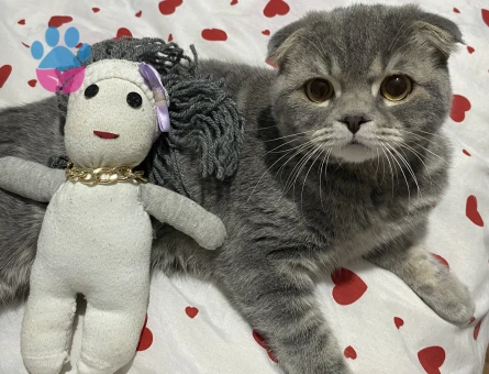 Güzel oğlum mars’a acil eş arıyorum