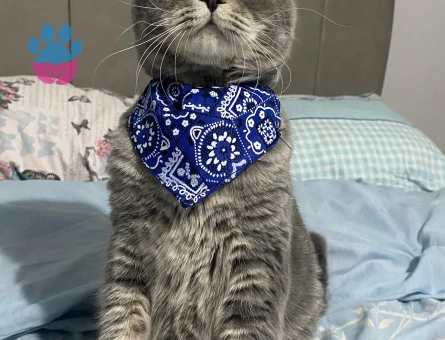 Güzel oğlum mars’a acil eş arıyorum