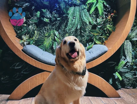 Oğlumuza eş arıyoruz