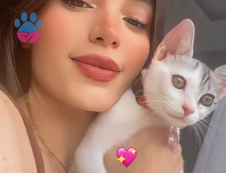 Tekir cinsi kızıma eş arıyorum