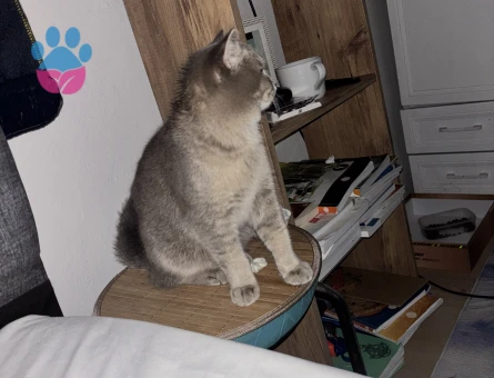 OĞLUMUZA EŞ ARIYORUZ