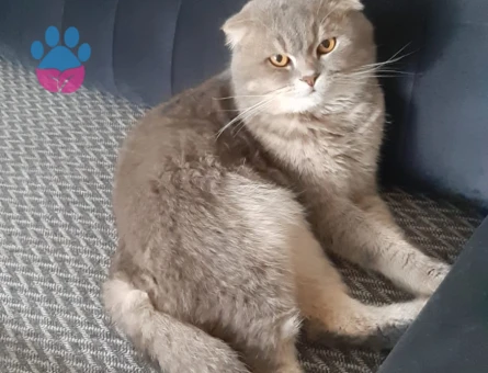 Bitişik oğlumuza es arıyoruz