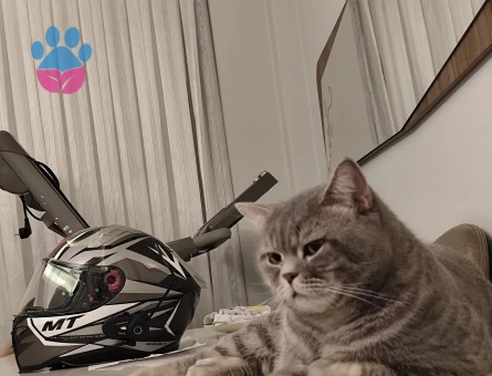 Marko, hayatının aşkını arıyor...