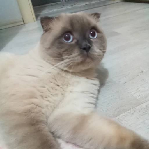 parsbatikent